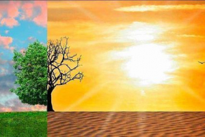 Глобальна опустелювання - фактори, наслідки та шляхи вирішення проблеми Глобальна опустелювання - фактори, наслідки та шляхи вирішення проблеми